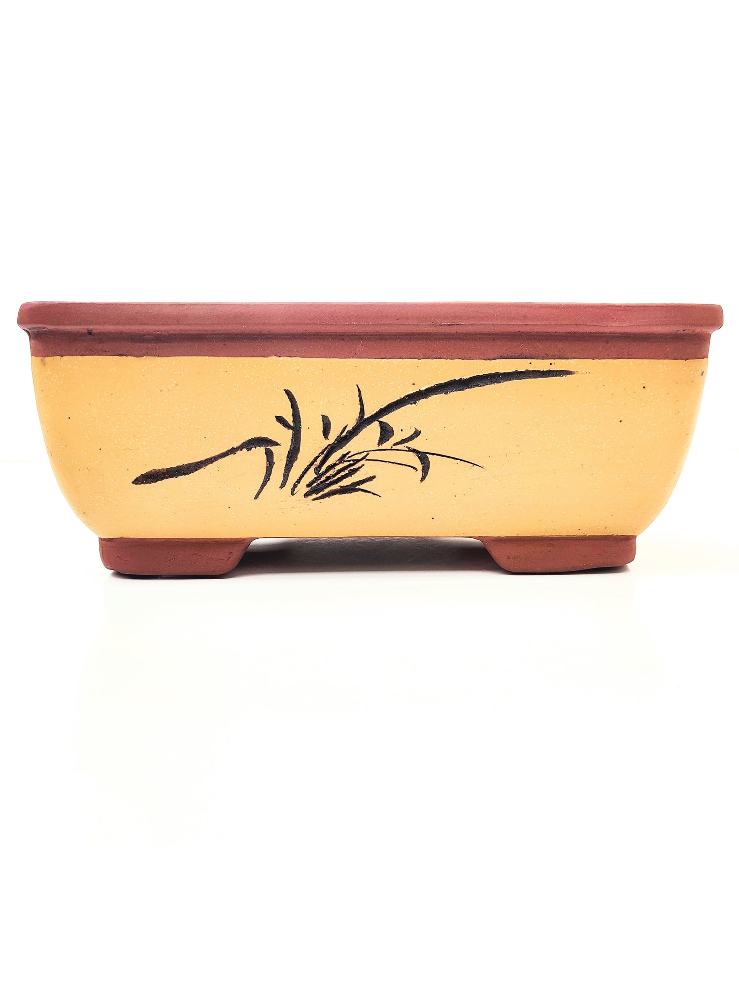 Bonsai Pots Bonsai Gifts Nursery