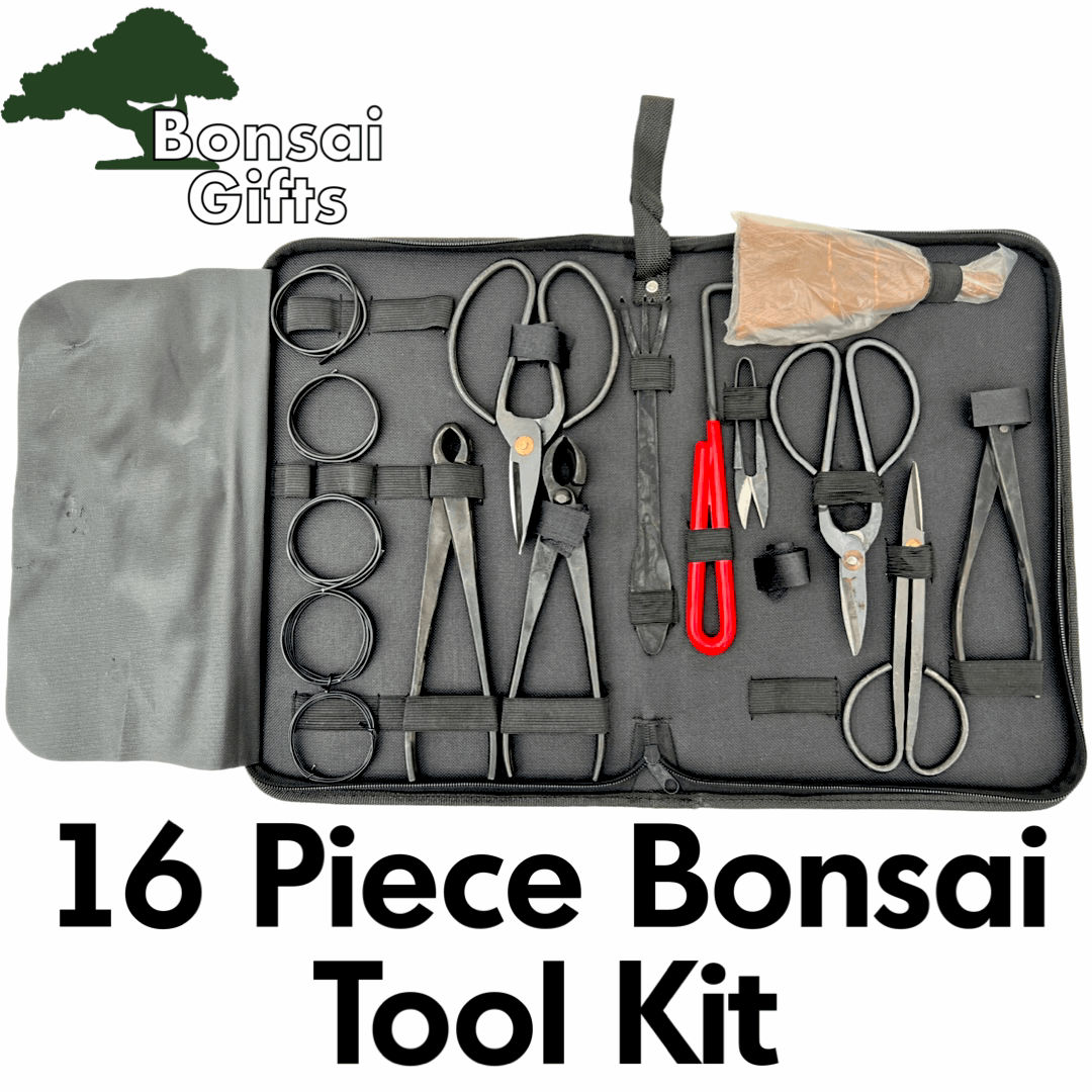 bonsai tree pruning kit 16 Piece Bonsai Tool Kit