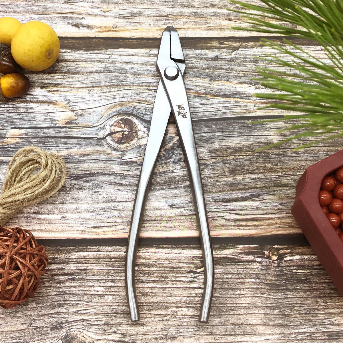 Stainless Steel Jin Pliers 210mm - Bonsai Gifts Nursery