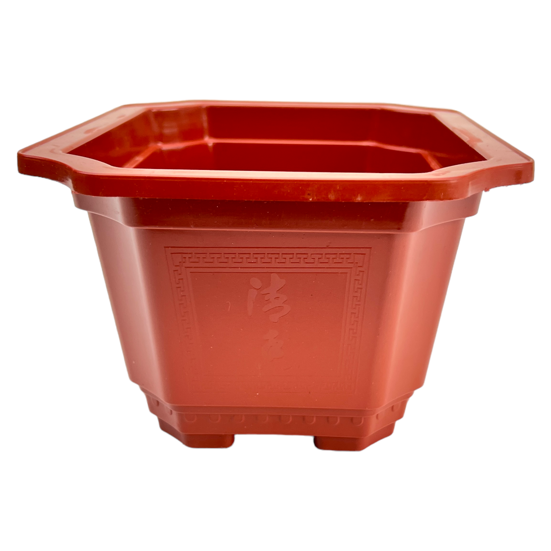 23cm Classic Design Orange Deep Plastic Bonsai Pot With Artwork - Bonsai Gifts Nursery