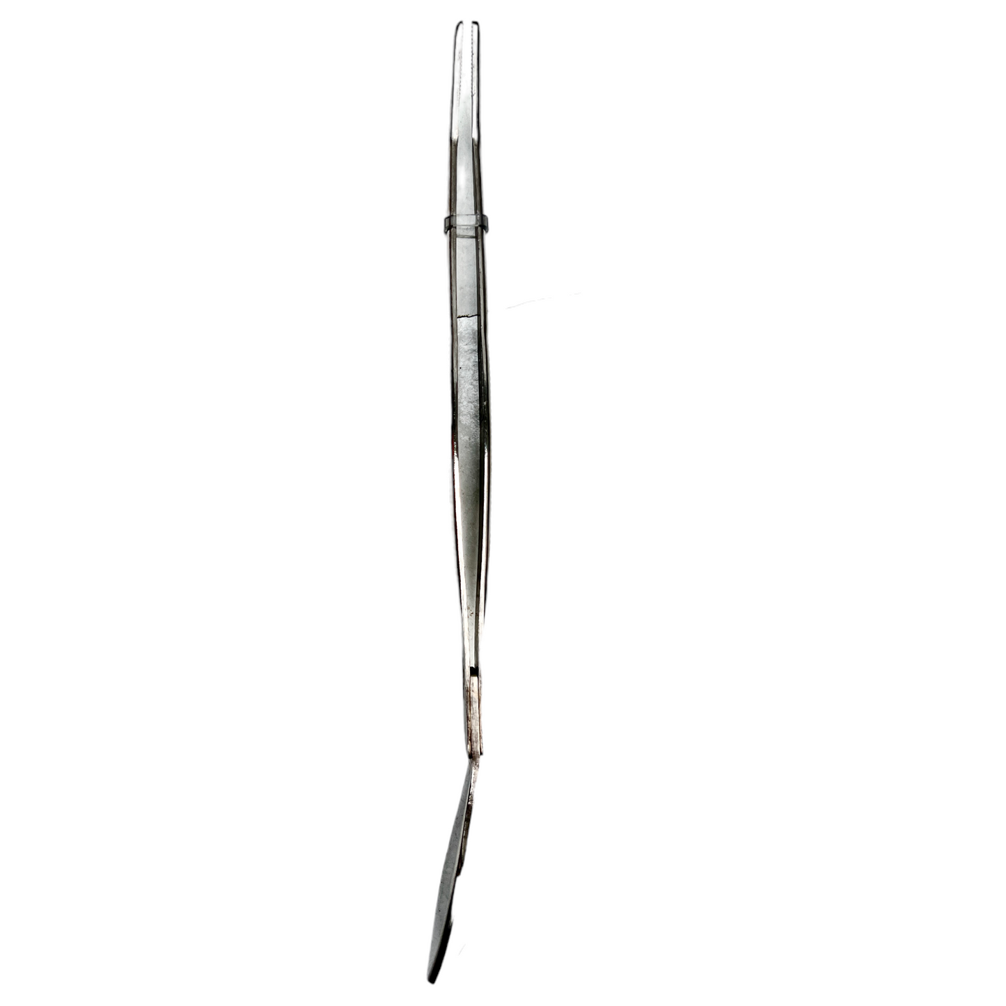 Stainless Steel Bonsai Tweezer and Spatula 220mm - Bonsai Gifts Nursery