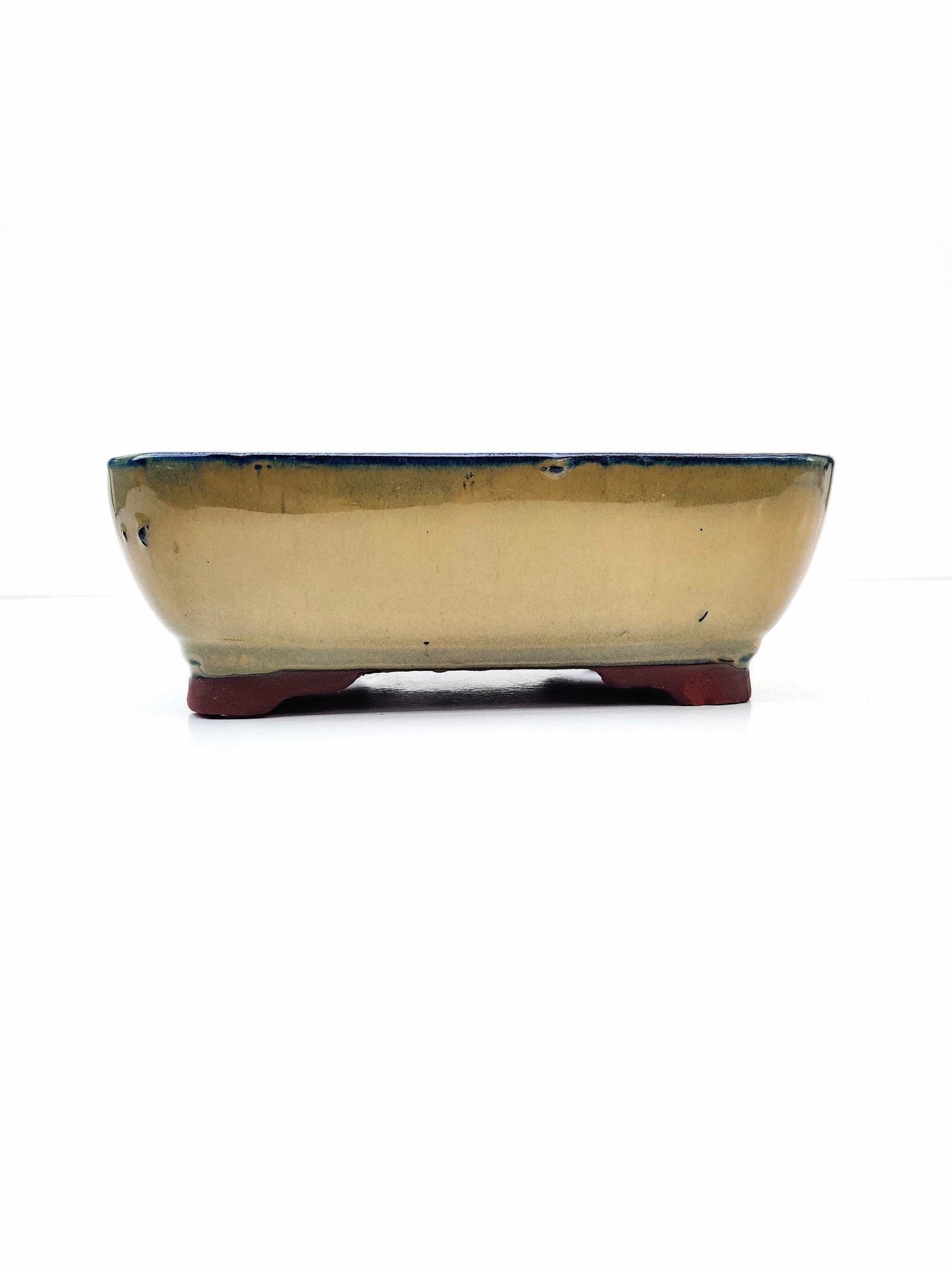 8" Gold Glazed Bonsai Pot - Bonsai Gifts Nursery