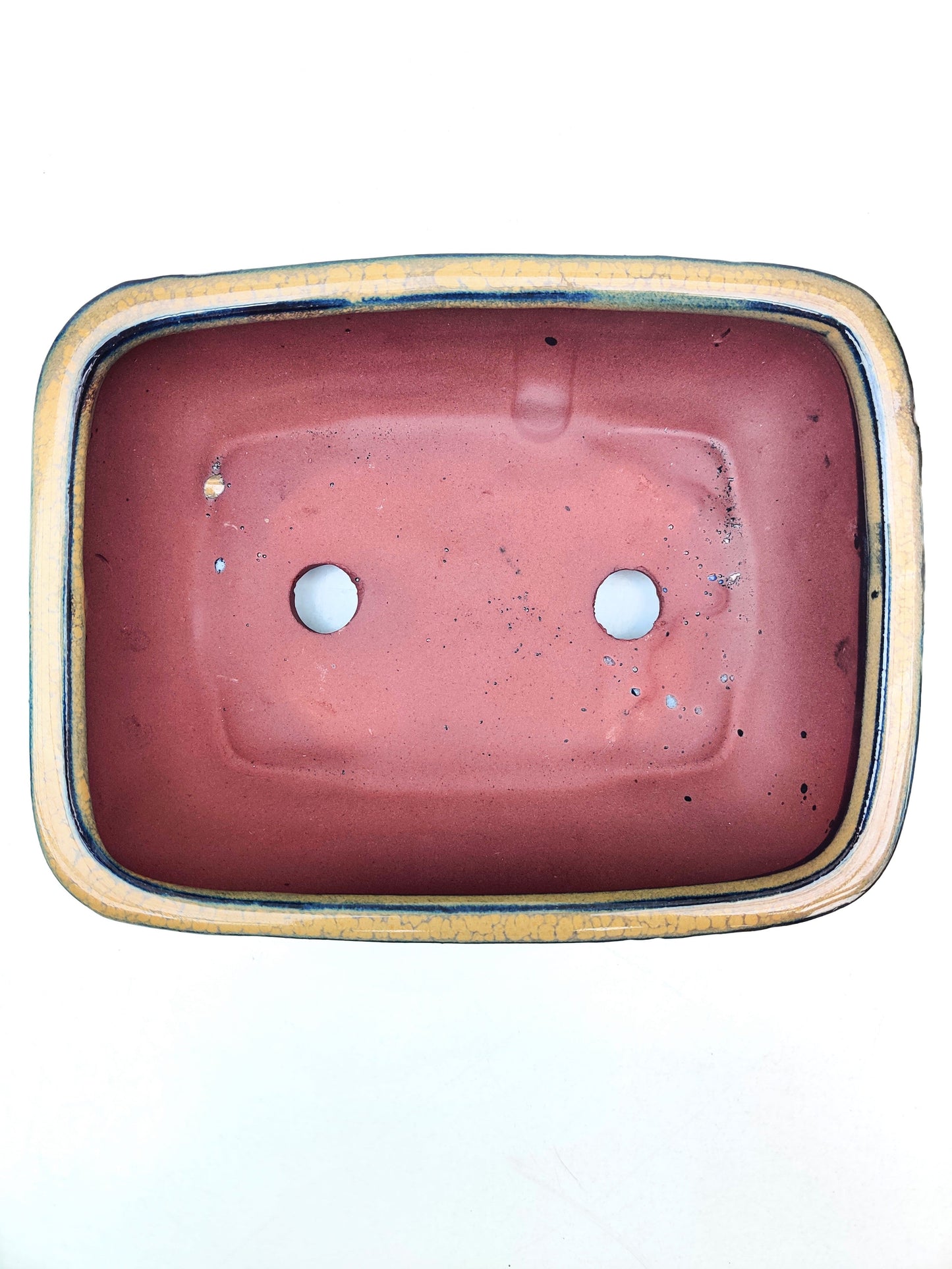 8" Gold Glazed Bonsai Pot - Bonsai Gifts Nursery