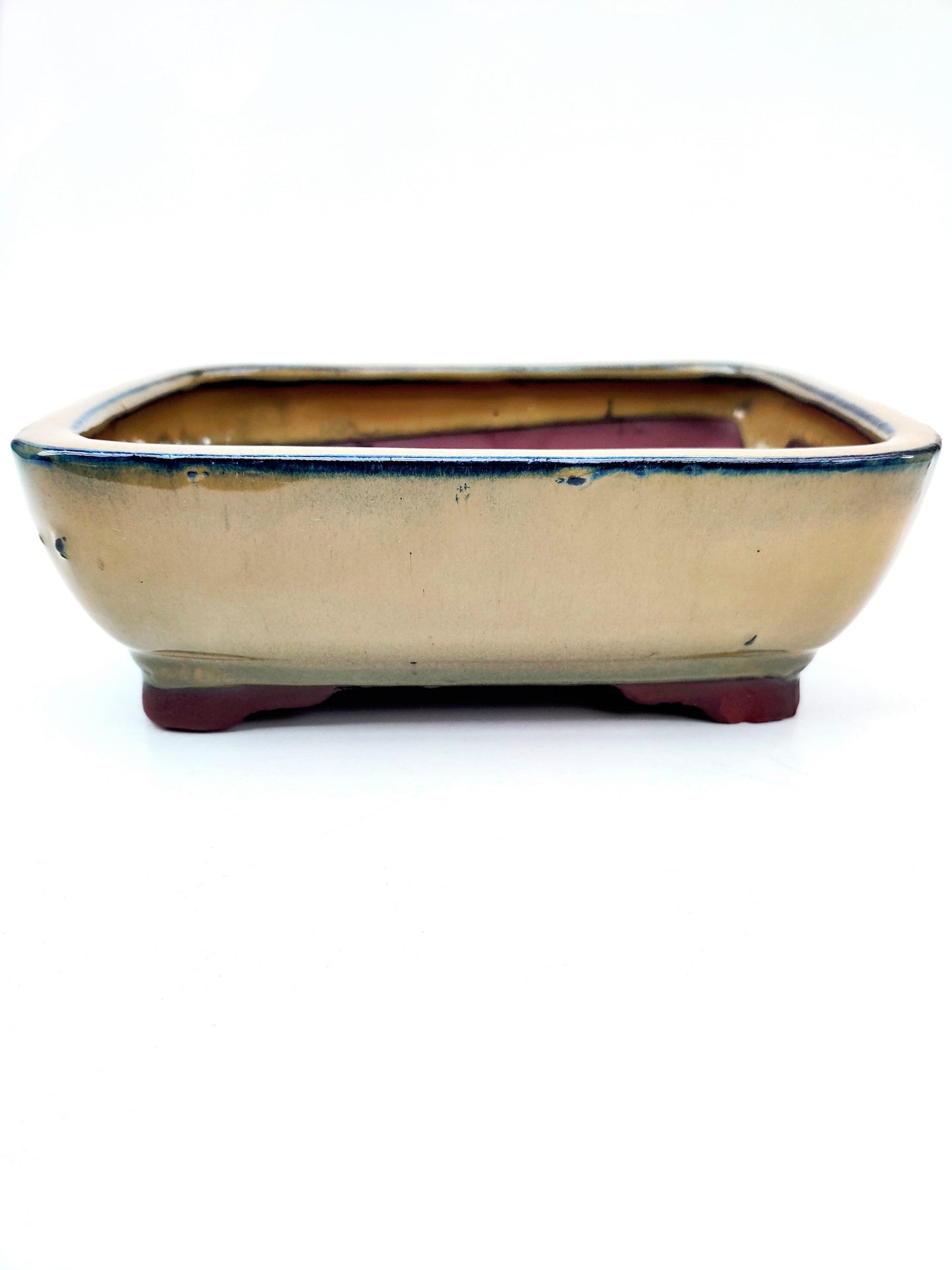 8" Gold Glazed Bonsai Pot - Bonsai Gifts Nursery