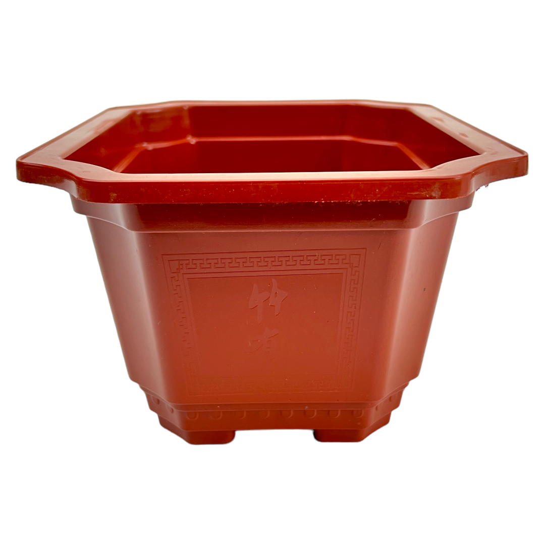 23cm Classic Design Orange Deep Plastic Bonsai Pot With Artwork - Bonsai Gifts Nursery