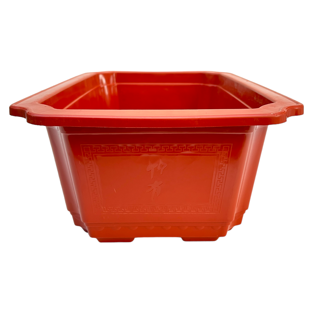 54cm Classic Design Plastic Orange Bonsai Pot With Artwork - Bonsai Gifts Nursery