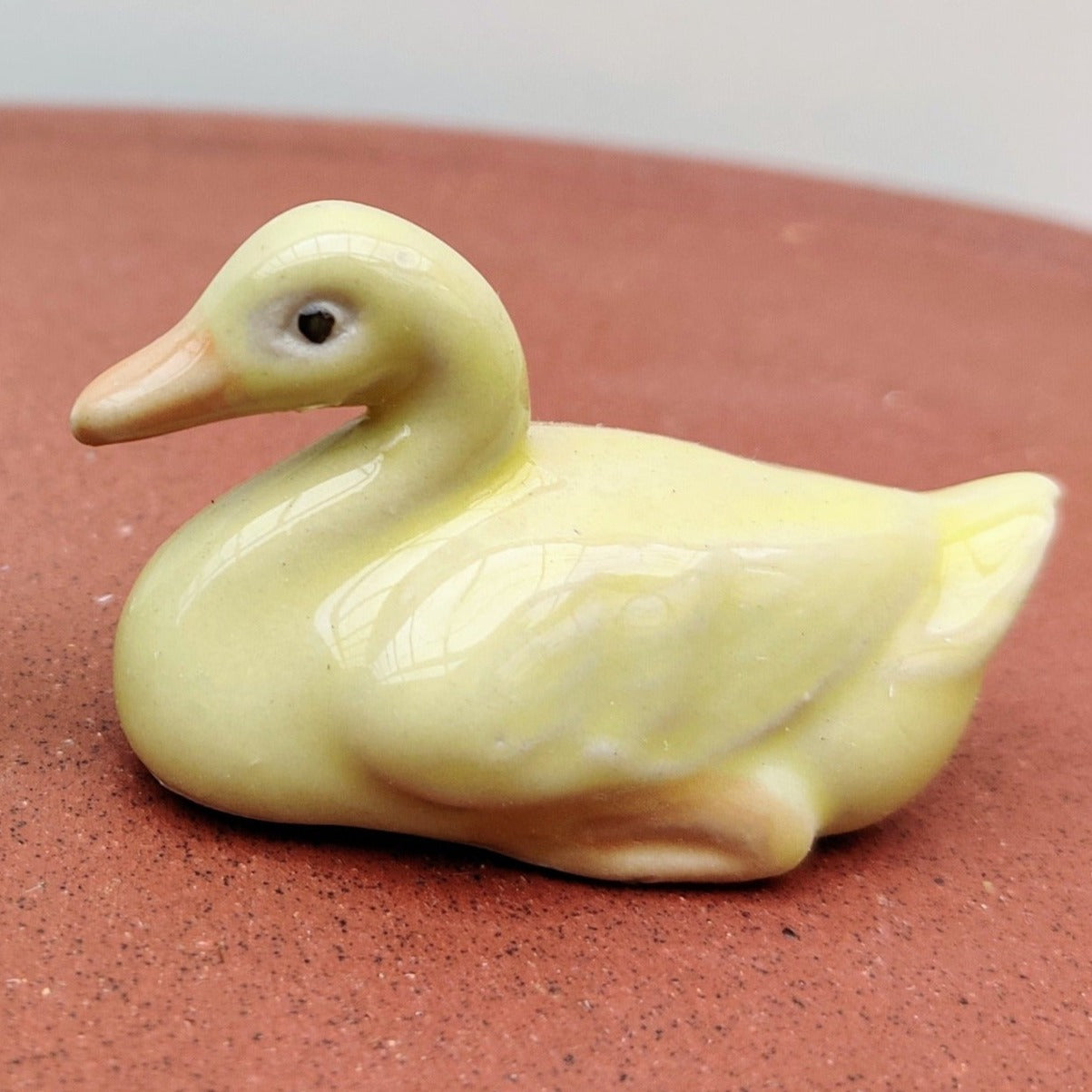Duck - Bonsai Gifts Nursery