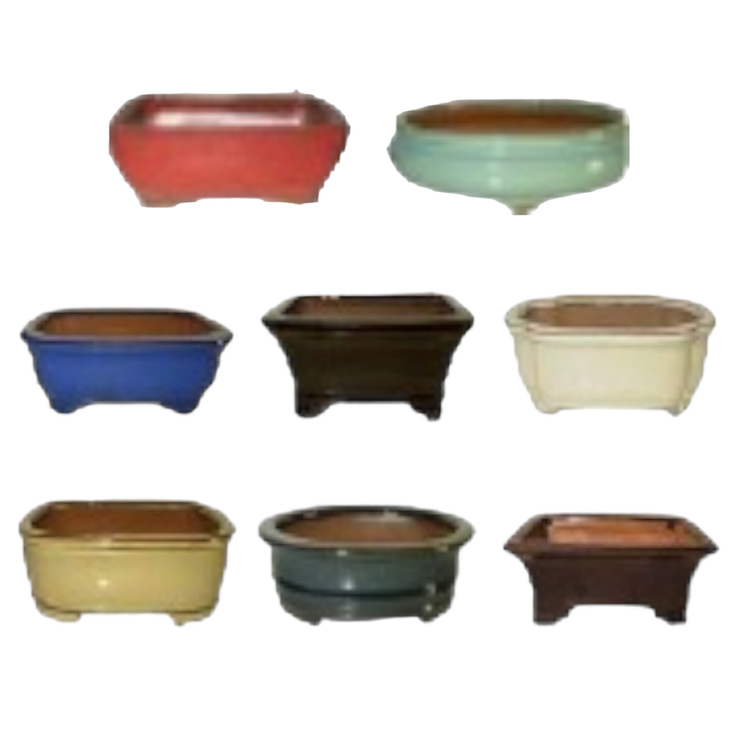 8 Inch Assorted Glazed Bonsai Pots (Random Selection) - Bonsai Gifts Nursery