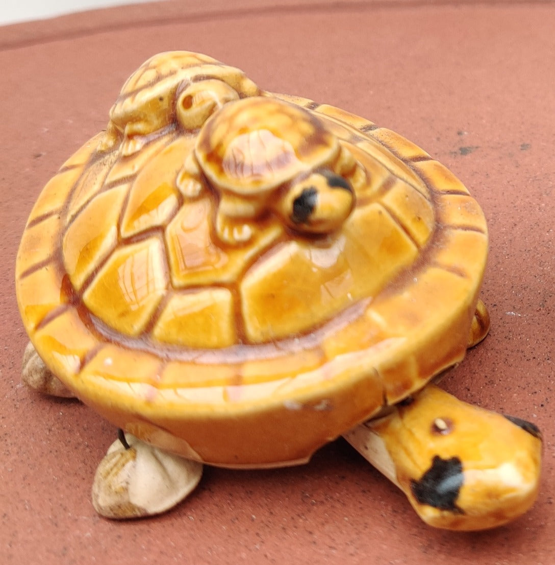 Supernal Tortoise - Bonsai Gifts Nursery