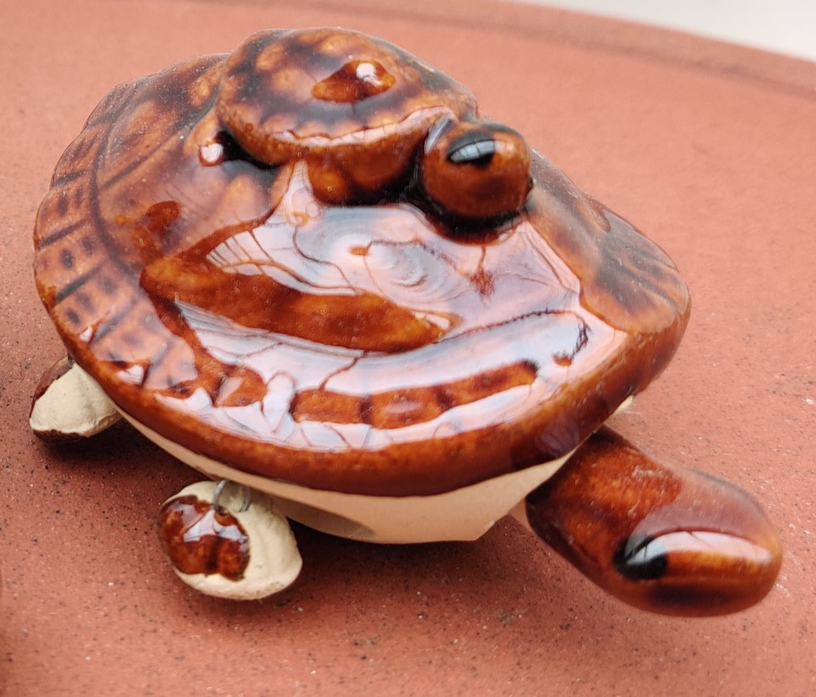 Supernal Tortoise - Bonsai Gifts Nursery