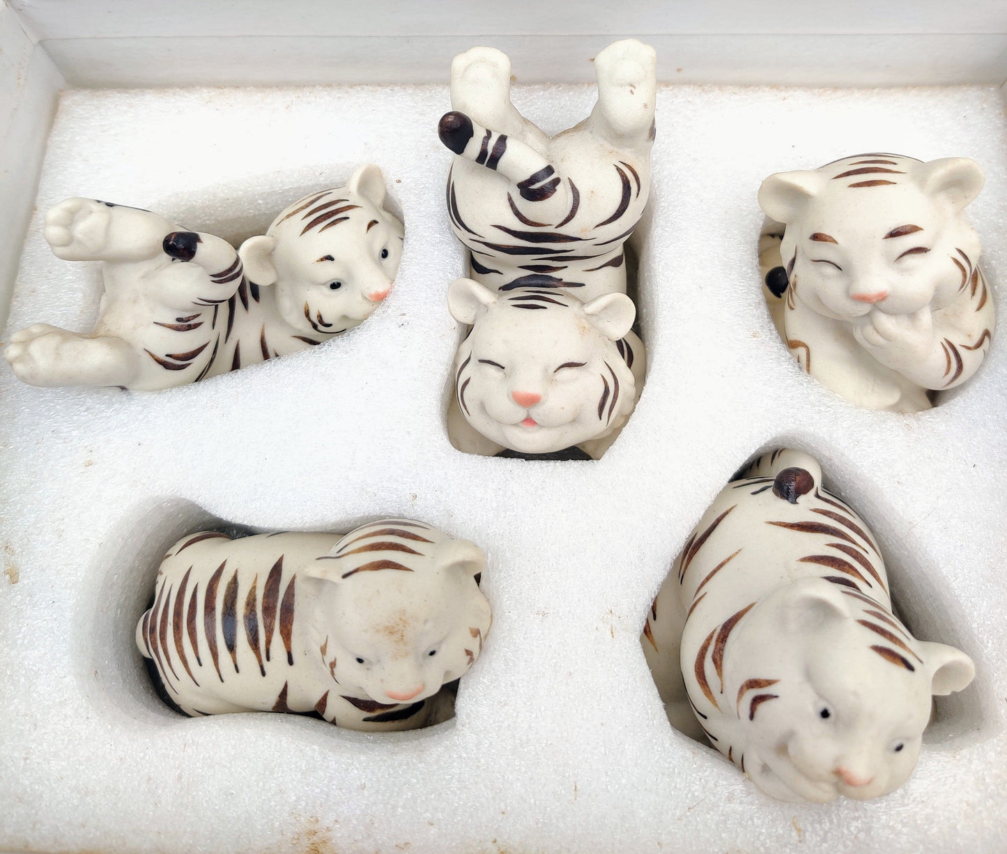 White Tiger Set - Bonsai Gifts Nursery