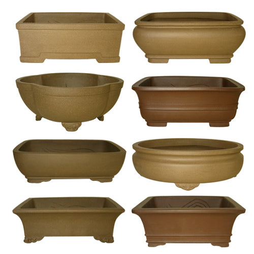 10 Inch Assorted Unglazed Bonsai Pots (Random Style Selection) - Bonsai Gifts Nursery