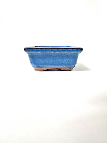 4" Blue Glazed Mame Bonsai Pot Bonsai Gifts Nursery