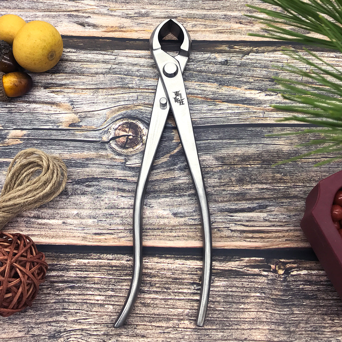 Stainless Steel Knob Cutter 210mm - Bonsai Gifts Nursery