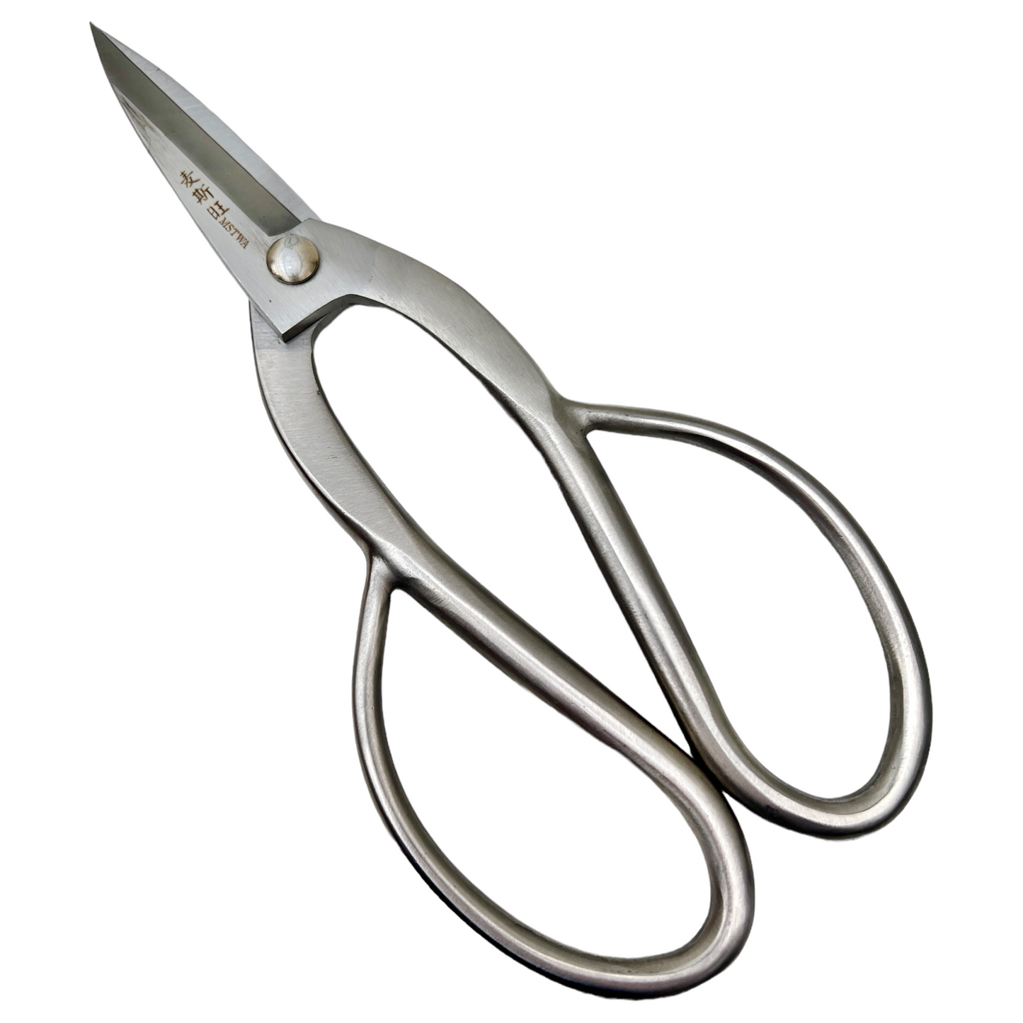 Large All Purpose Stainless Steel Bonsai Scissors 210mm - Bonsai Gifts Nursery