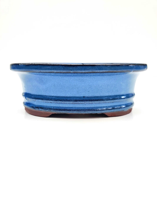 6" Blue Oval Glazed Bonsai Pot Bonsai Gifts Nursery