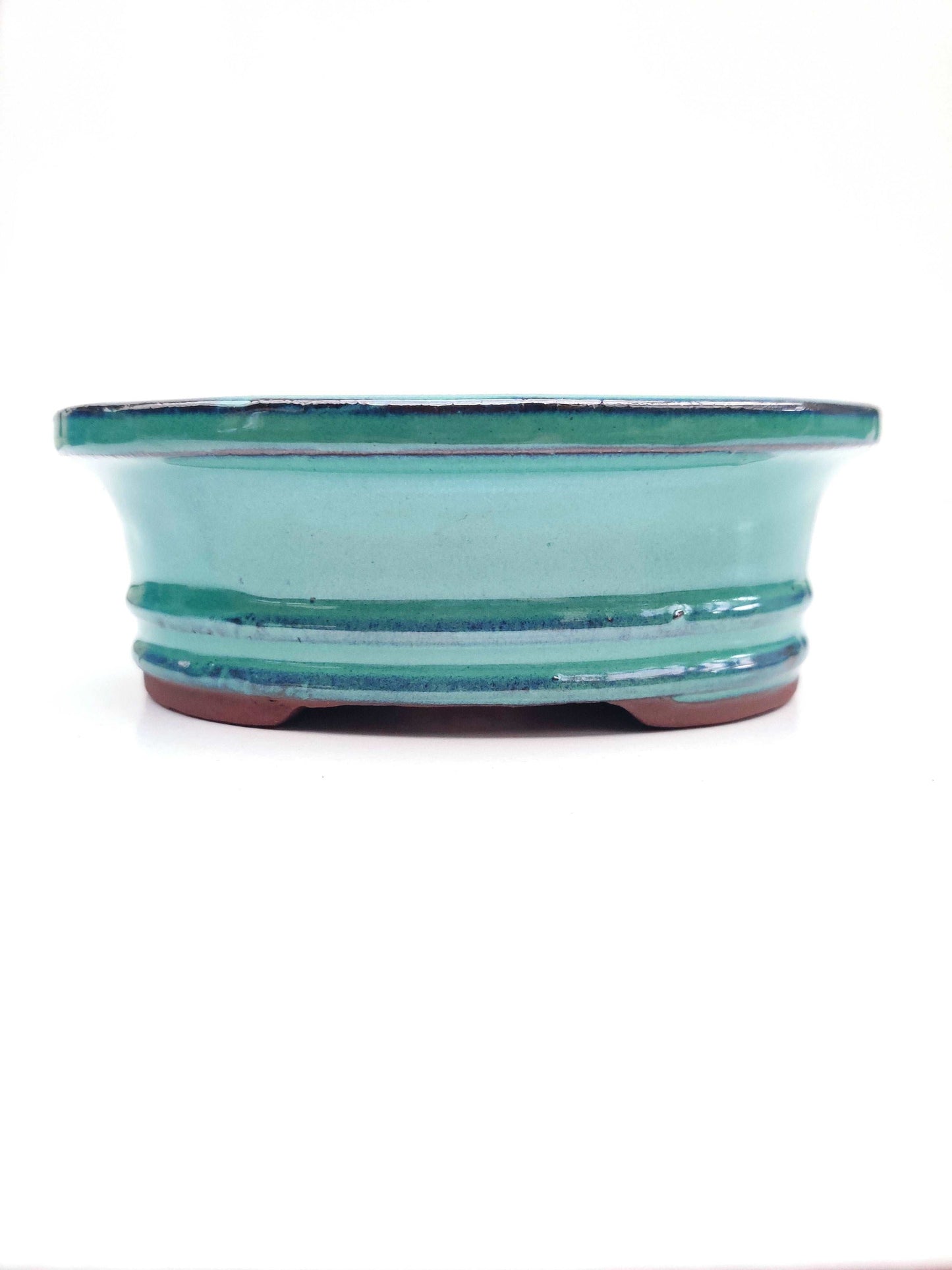 6" Teal Oval Glazed Bonsai Pot Bonsai Gifts Nursery