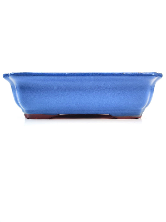 8" Blue Glazed Bonsai Pot Bonsai Gifts Nursery