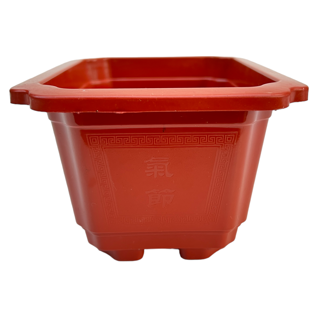 18cm Classic Design Orange Plastic Bonsai Pot With Artwork - Bonsai Gifts Nursery