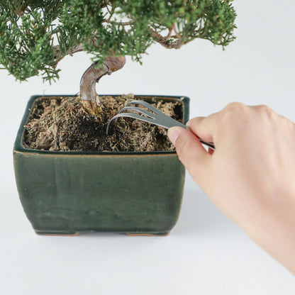 Stainless Steel Bonsai Rake With Tweezer 230mm