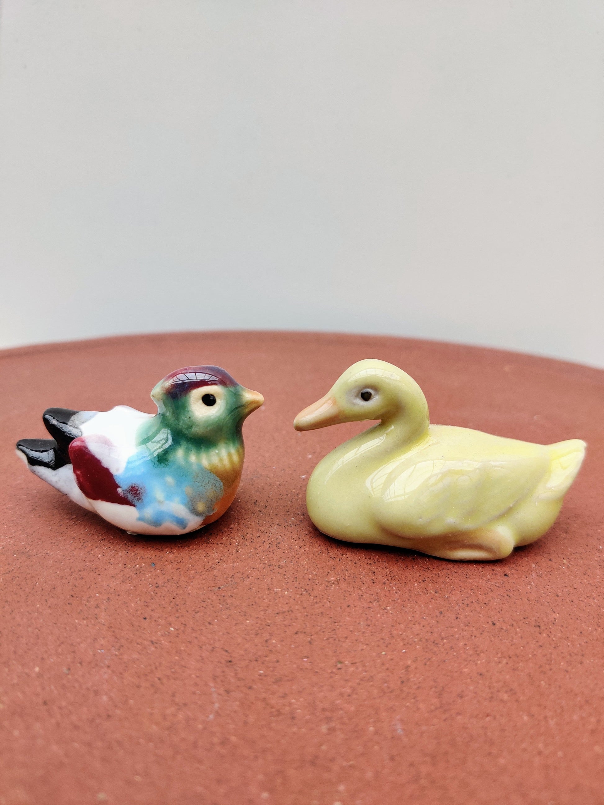 Duck Bonsai Gifts Nursery