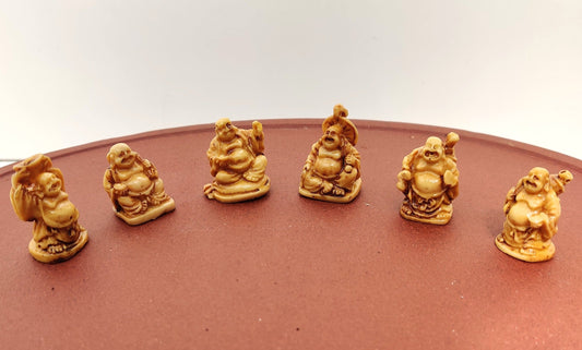 Golden Buddha Bonsai Gifts Nursery