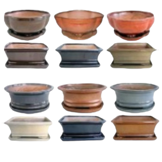 8 Inch Deeper Assorted Glazed Pots With Ceramic Saucer Plate (Random Selection)