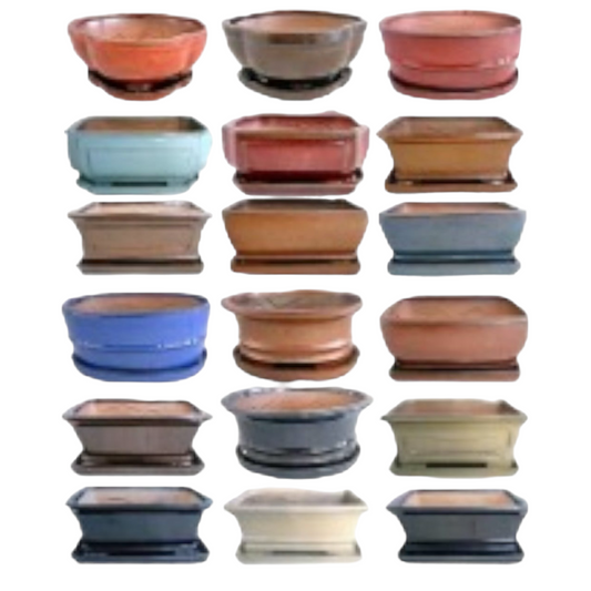 6 Inch Deeper Assorted Glazed Pots With Ceramic Saucer Plate (Random Selection)