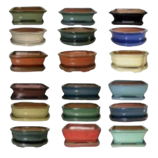 6 Inch Assorted Glazed Bonsai Pots With Ceramic Saucer Plate (Random Selection)
