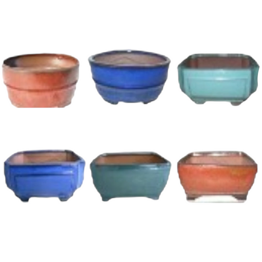 10 Inch Deeper Assorted Glazed Bonsai Pots (Random Selection)