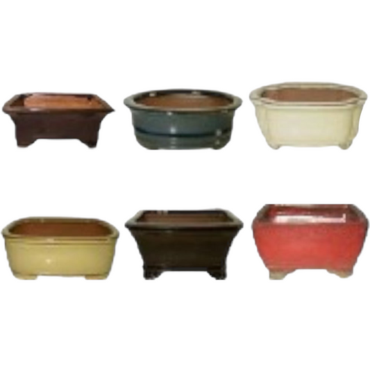12 Inch Assorted Glazed Bonsai Pots (Random Selection)