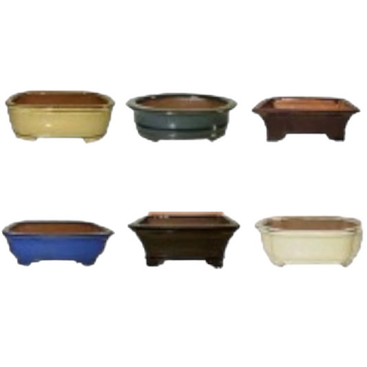 7 Inch Assorted Glazed Bonsai Pots (Random Selection)