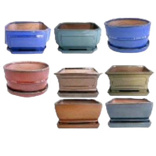 10 Inch Deeper Assorted Glazed Bonsai Pots With Ceramic Saucer Plate (Random Selection)