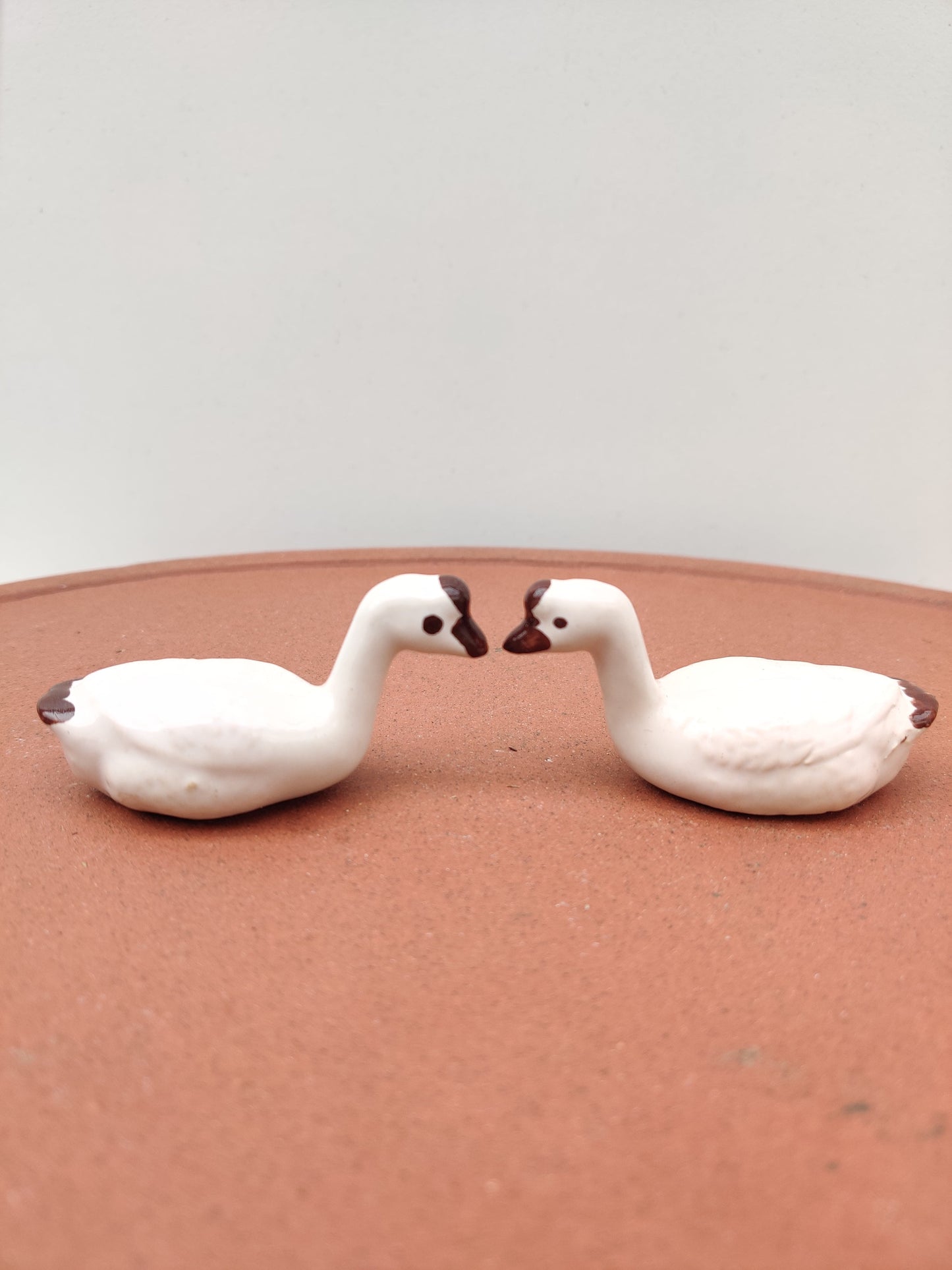 Loving Swan - Bonsai Gifts Nursery