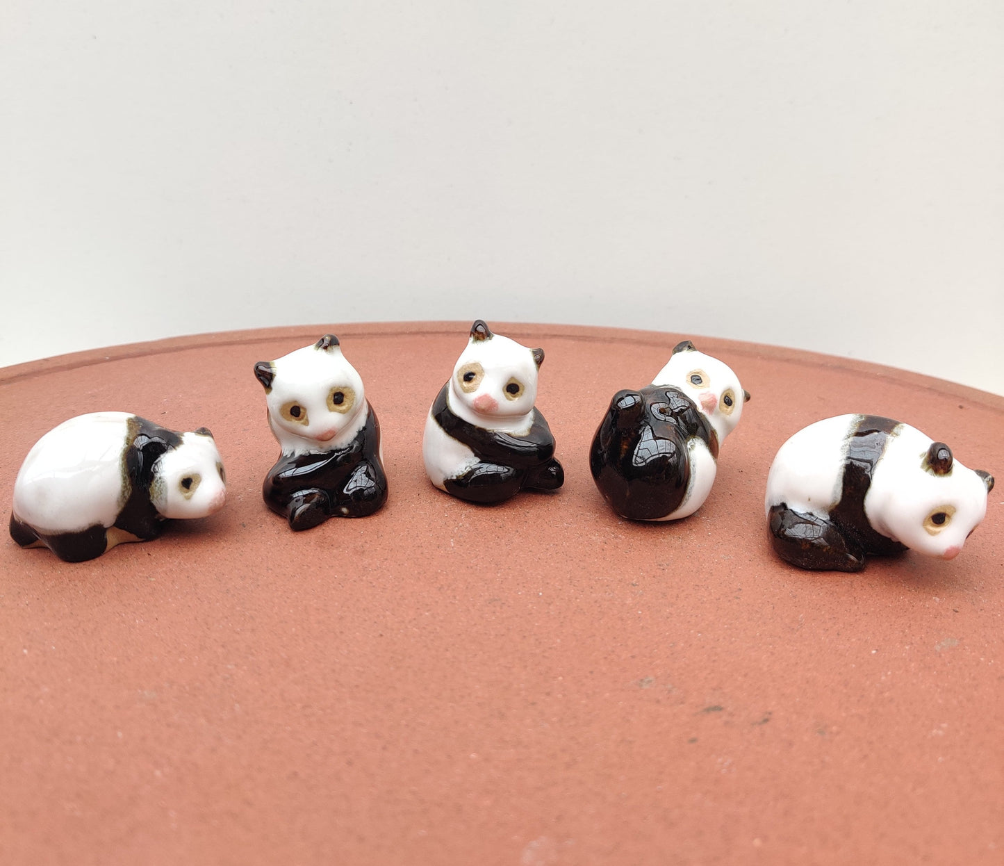 Small Panda Bonsai Gifts Nursery