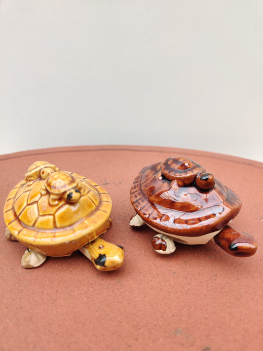 Supernal Tortoise Bonsai Gifts Nursery