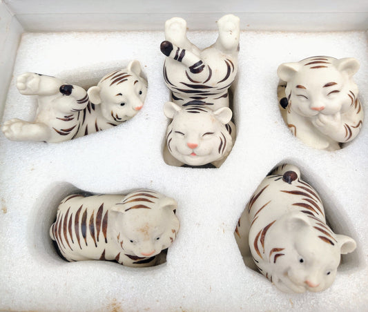 White Tiger Set Bonsai Gifts Nursery