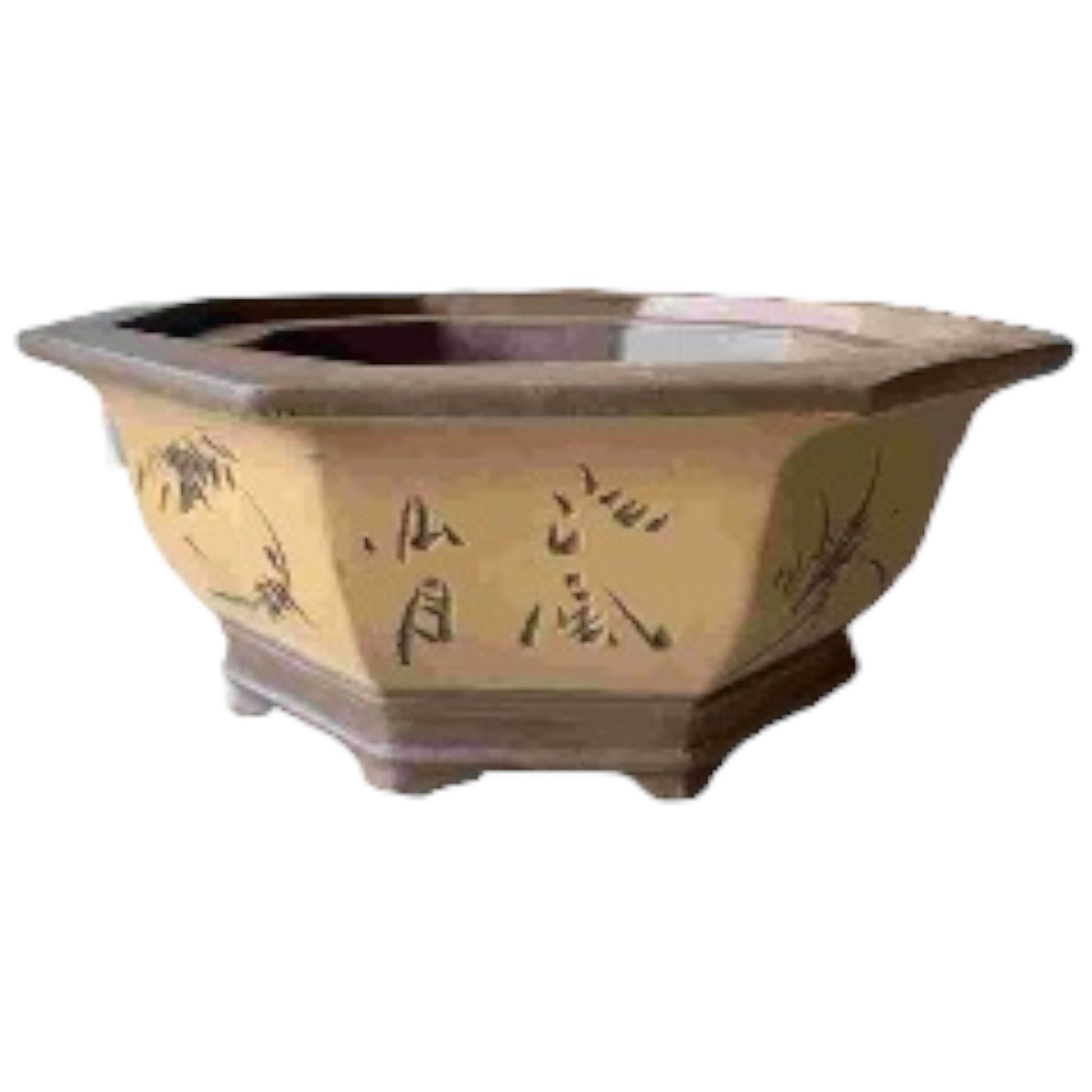 14 Inch Semi Cascade Hexagonal Unglazed Oval Bonsai Pot With Artwork Set Yellow - Bonsai Gifts Nursery